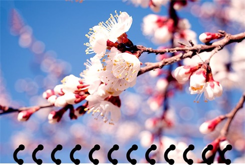 太白湖景區(qū)開(kāi)園公告