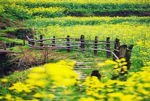 扎實做好“六穩(wěn)”“六保”工作 促進經(jīng)濟秩序加快恢復(fù)轉(zhuǎn)型發(fā)展加力提速