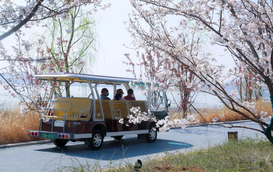 孔子文旅集團(tuán)多家景區(qū)“網(wǎng)絡(luò)傳播影響力指數(shù)”靠前 實(shí)現(xiàn)開(kāi)門(mén)紅