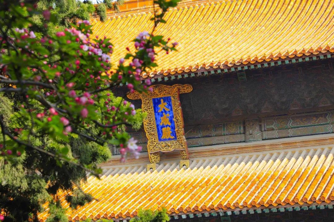 五一出游攻略 | 孔子文旅集團這些景區(qū)歡迎打卡！